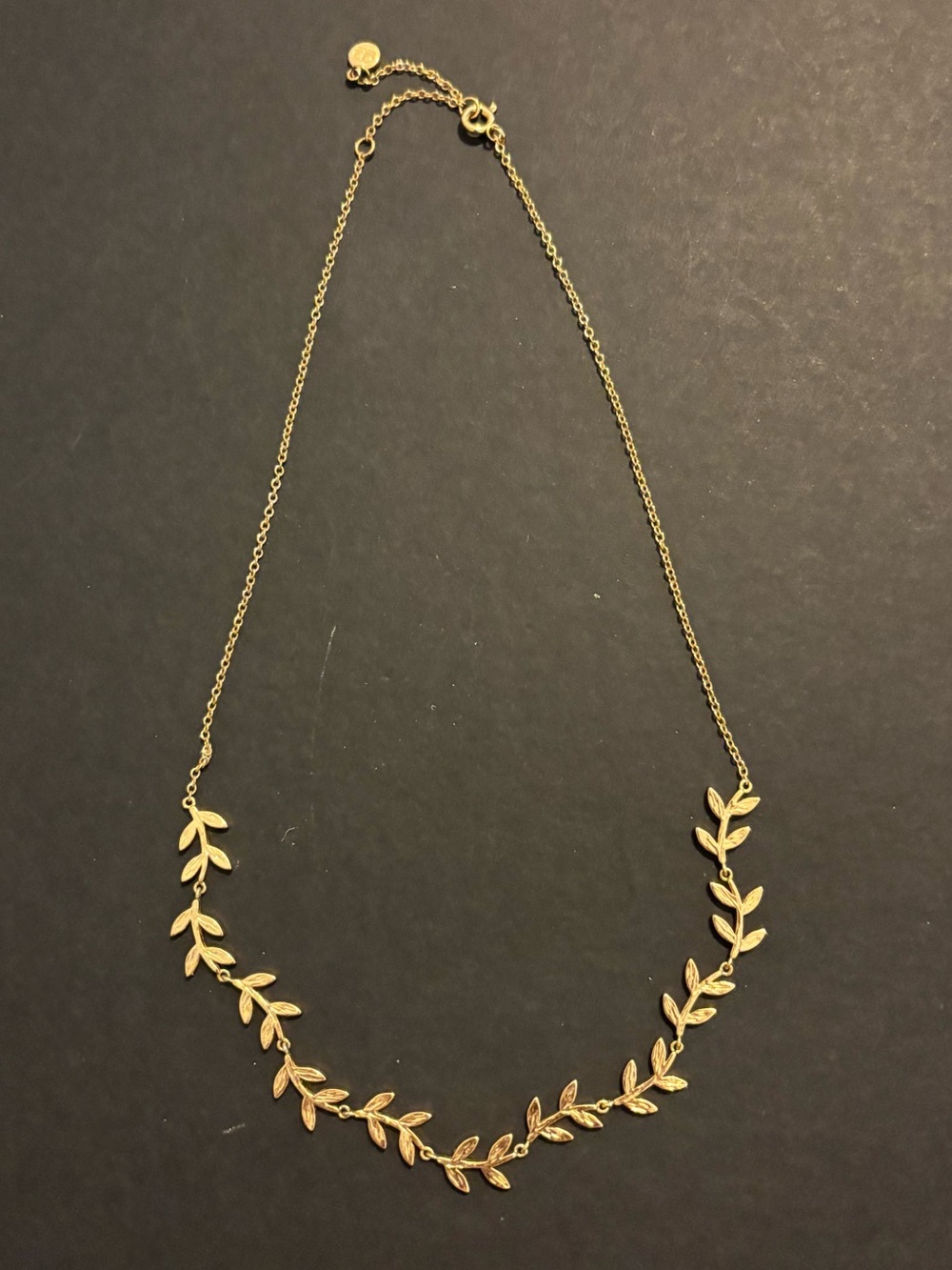 Delicate Gold Tone Necklace - Women Jewelry